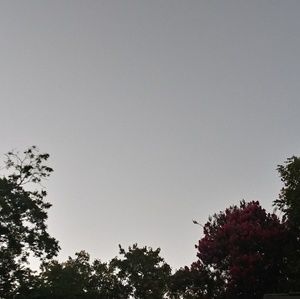 Meet your Posher, Daisy